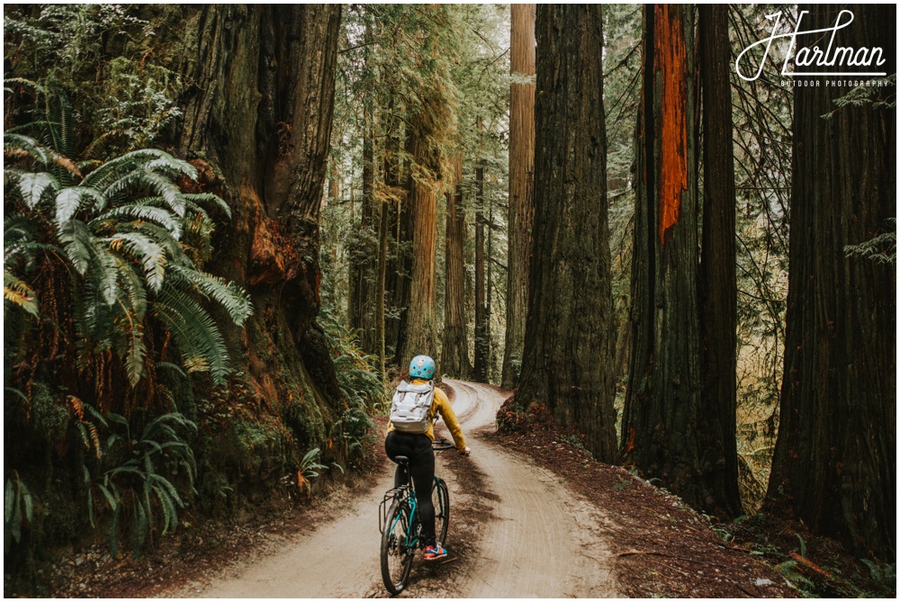 Redwood Forest Wedding Elopement Photographer_0013