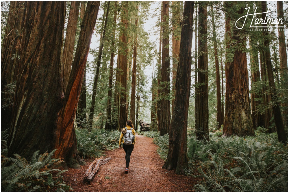 Redwood Forest Wedding Elopement Photographer_0017