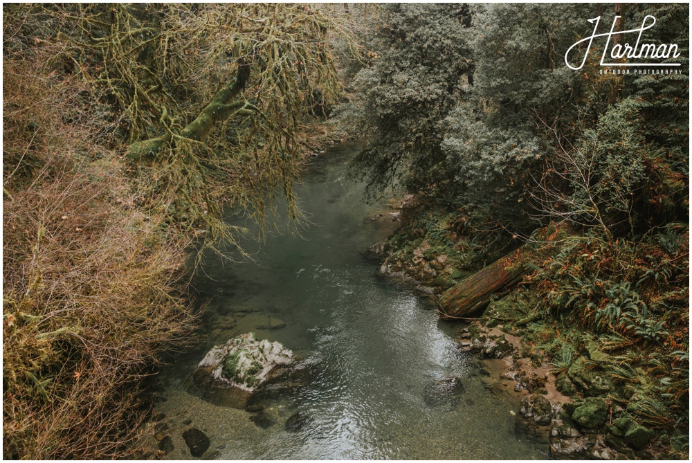 Redwood Forest Wedding Elopement Photographer_0024