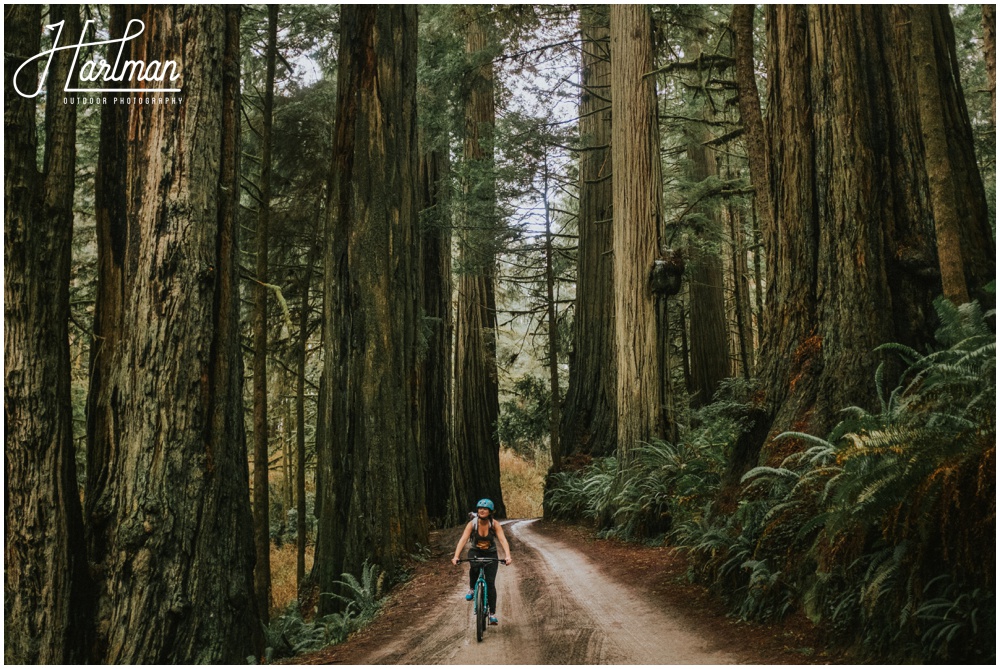 Redwood Forest Wedding Elopement Photographer_0026