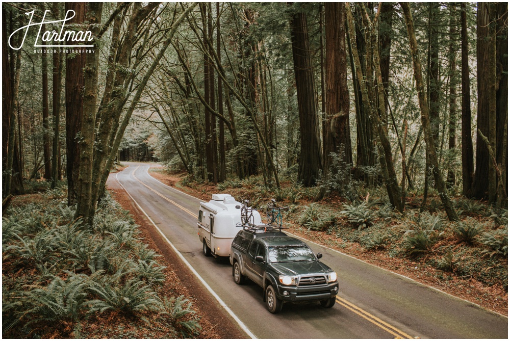 Redwood Forest Wedding Elopement Photographer_0044