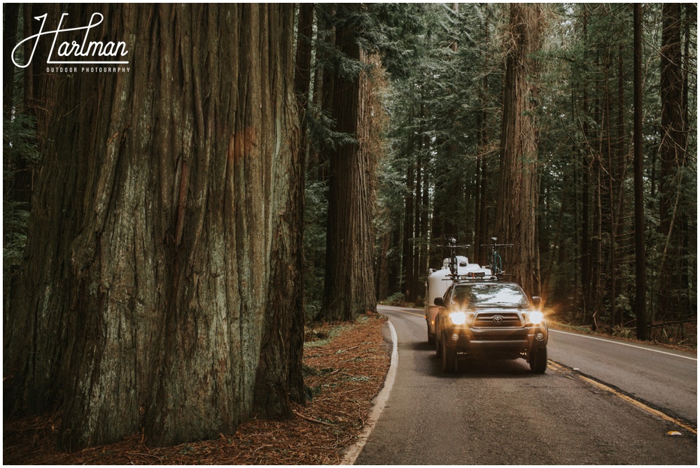 Redwood Forest Elopement Photographer_0046