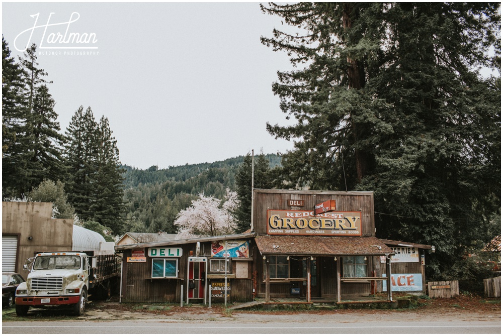 Redwood Forest Wedding Photographer_0048