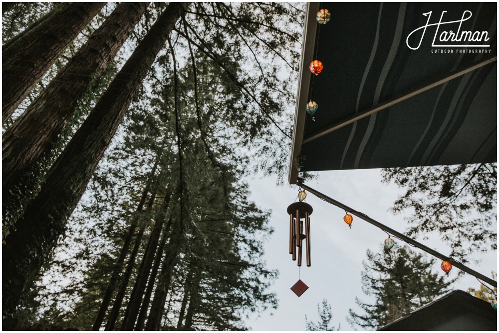 Redwood Forest Wedding Elopement Photographer_0050