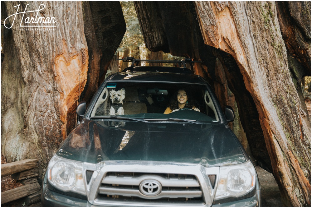 Redwood Forest Wedding Elopement Photographer_0073