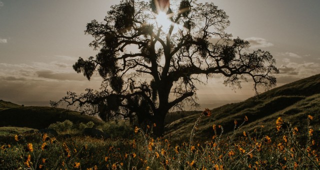 Driving to Sedona | Arizona