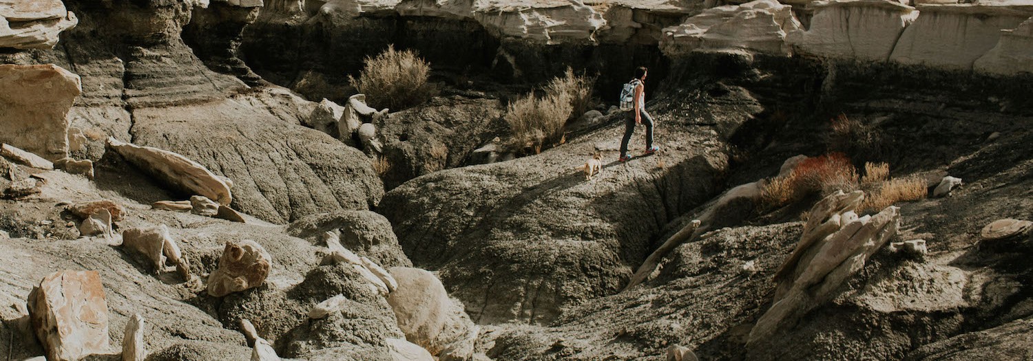 Bisti Wilderness Part 1| New Mexico