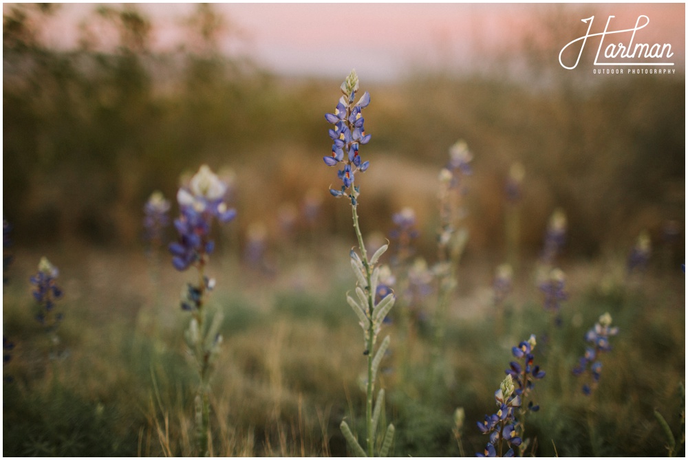 Marfa Texas Wedding Photographer_0043