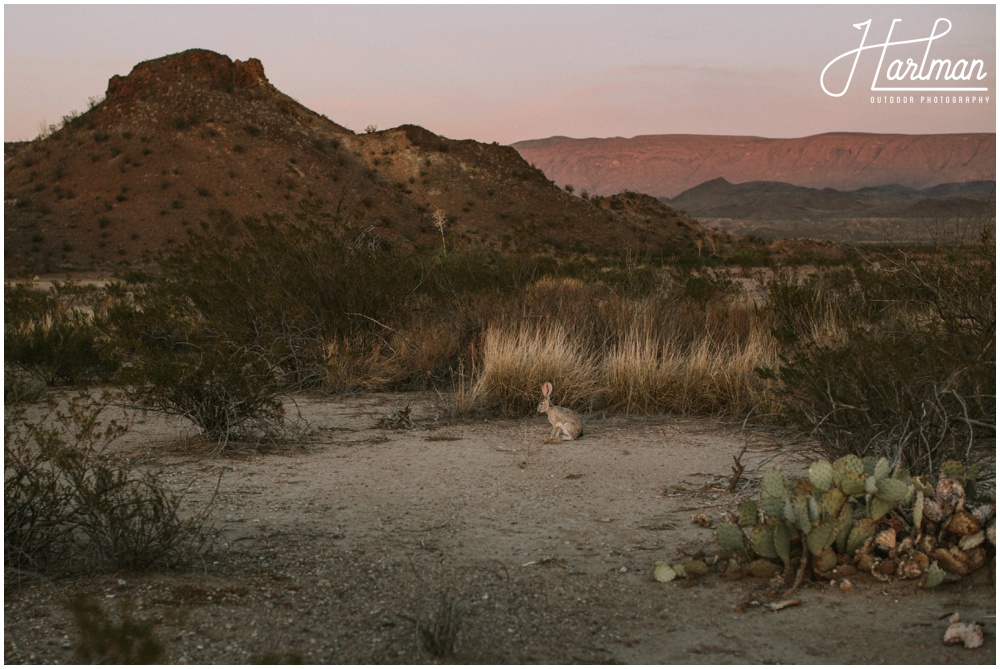 Marfa Texas Wedding Photographer_0044