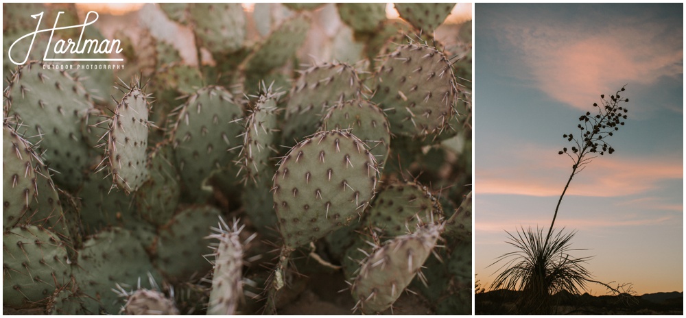 Marfa Texas Wedding Photographer_0045