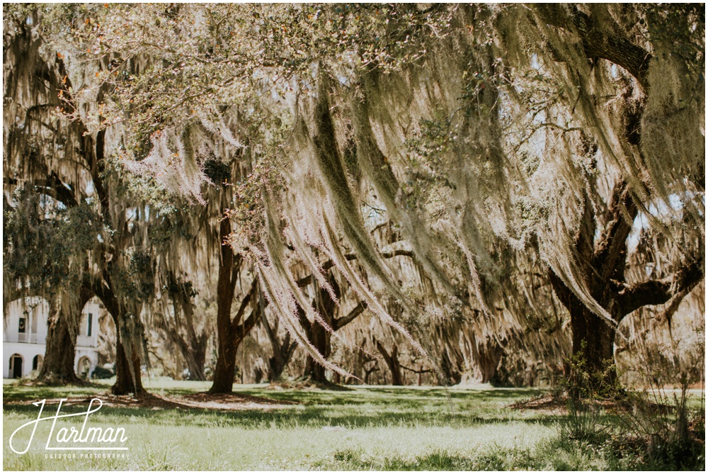 Charleston Outdoor Adventure Elopement_0034