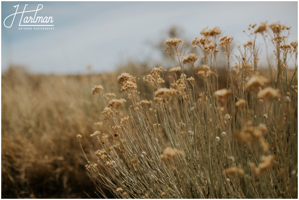 New Mexico Elopement Photographer_0149