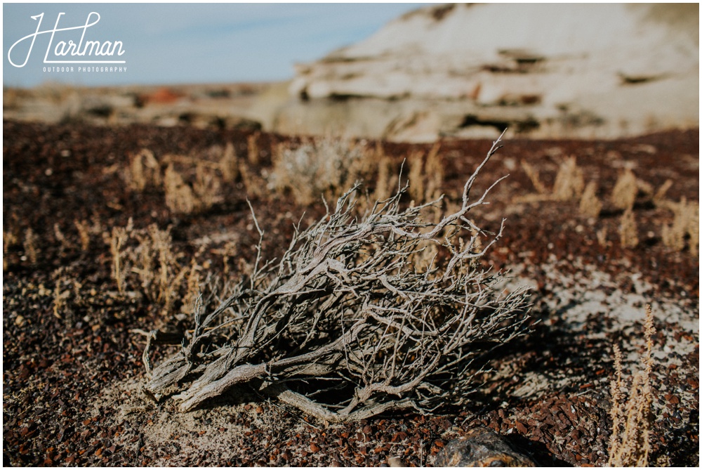 New Mexico Scenic Adventure Elopement _0184