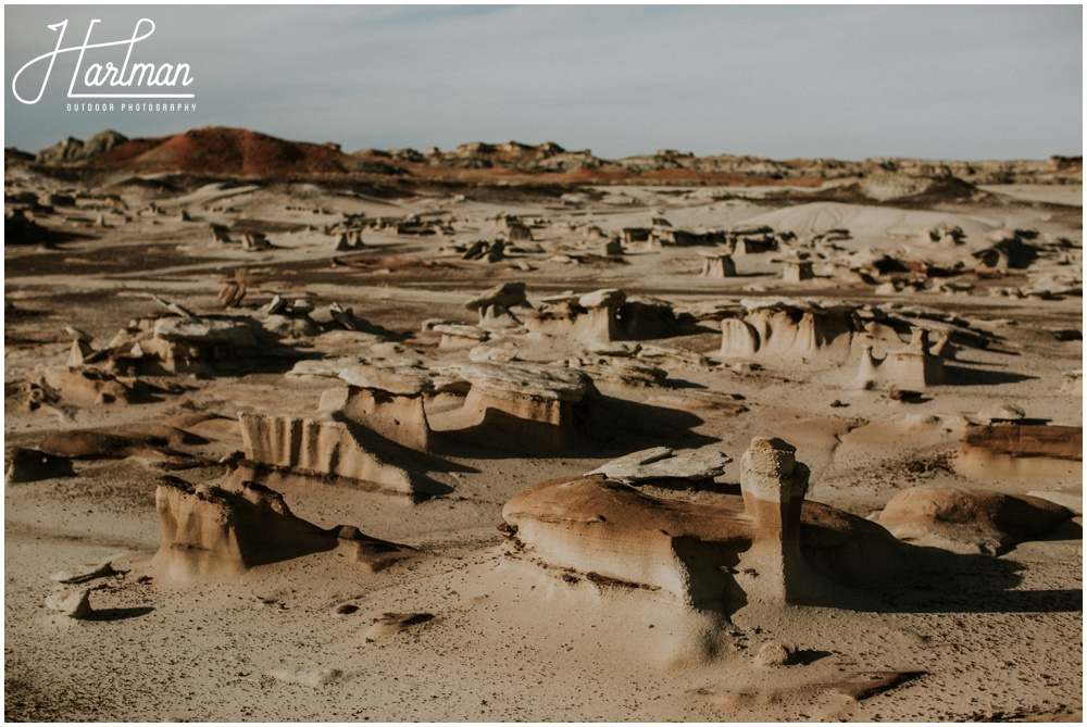 Bisti Badlands Photographer_0191