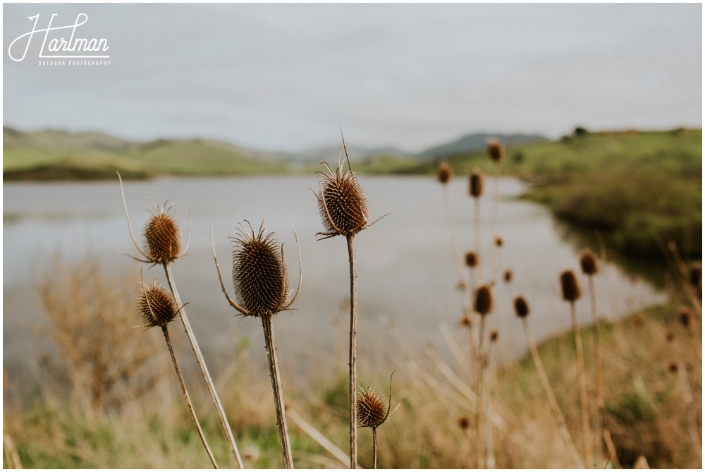 Marin Outdoor Wedding 022