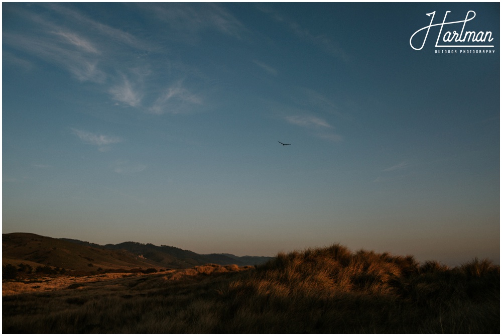 Point Reyes National Seashore Elopement photographer _0020