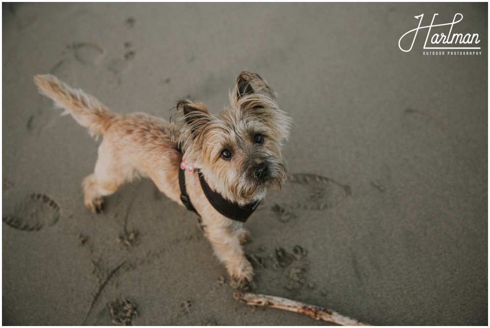 Point Reyes National Seashore Elopement photographer _0027