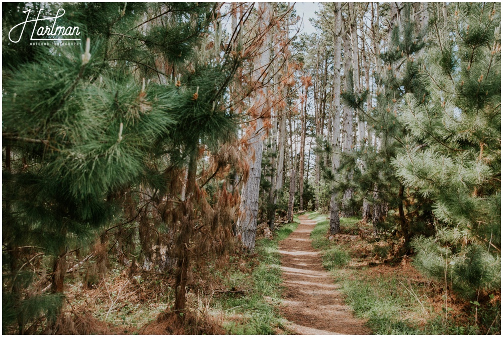 Point Reyes Wedding Photographer_0003