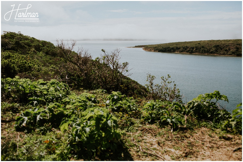 Point Reyes Elopement Photographer_0006