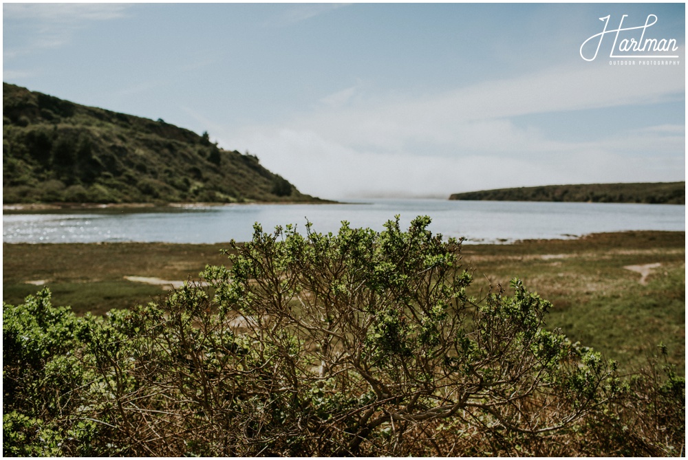 Point Reyes Estero Trail _0009