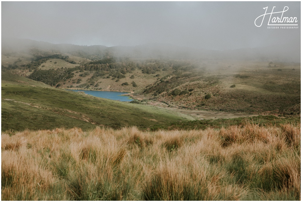 Point Reyes Elopement _0014