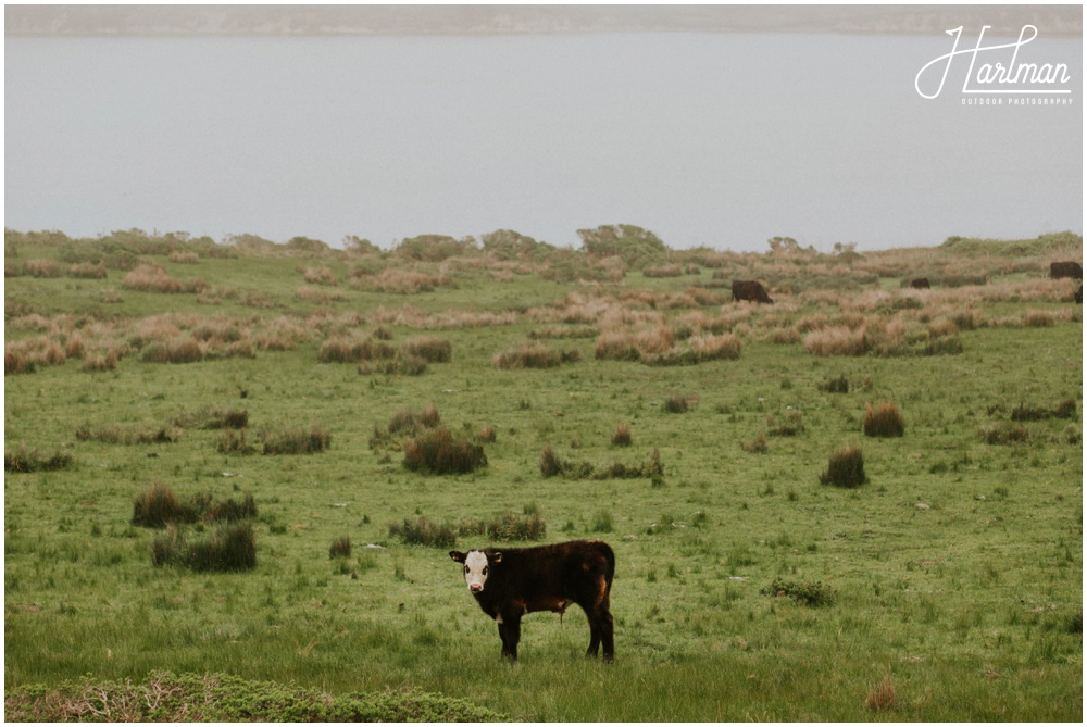 Point Reyes Elopement Engagement_0021