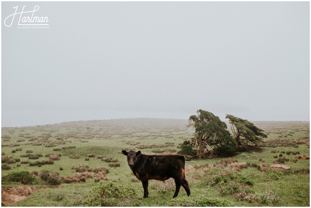 Point Reyes Elopement Engagement_0025