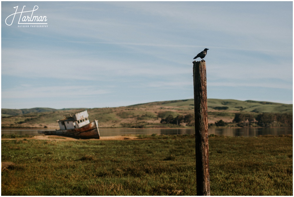 Point Reyes Shipwreck