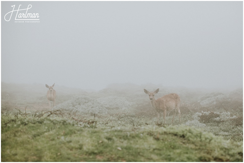 Point Reyes Outdoor Wedding _0006