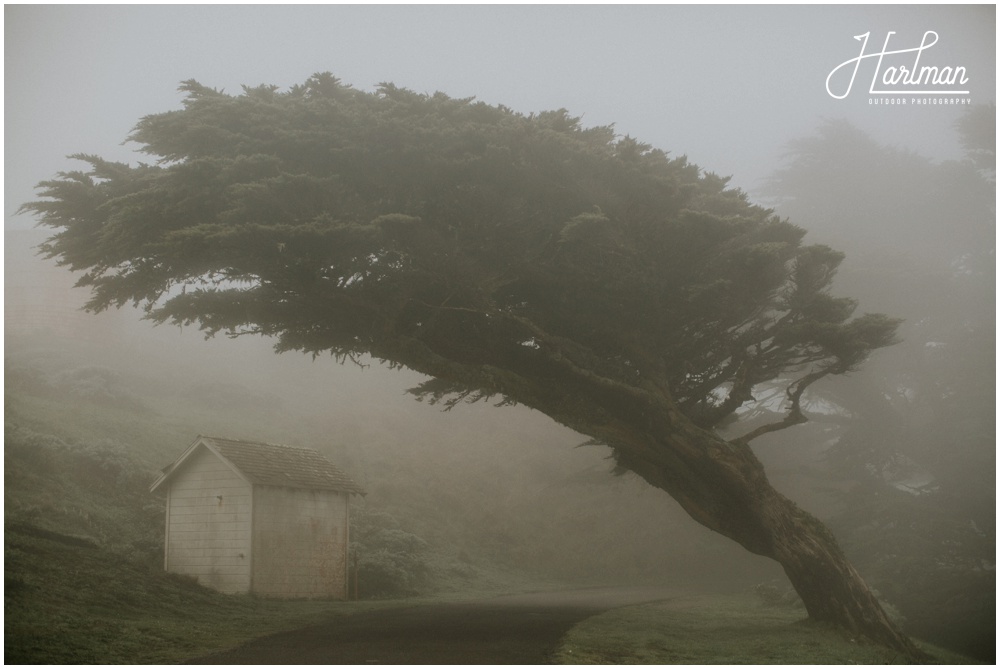 Point Reyes Engagement Session_0008