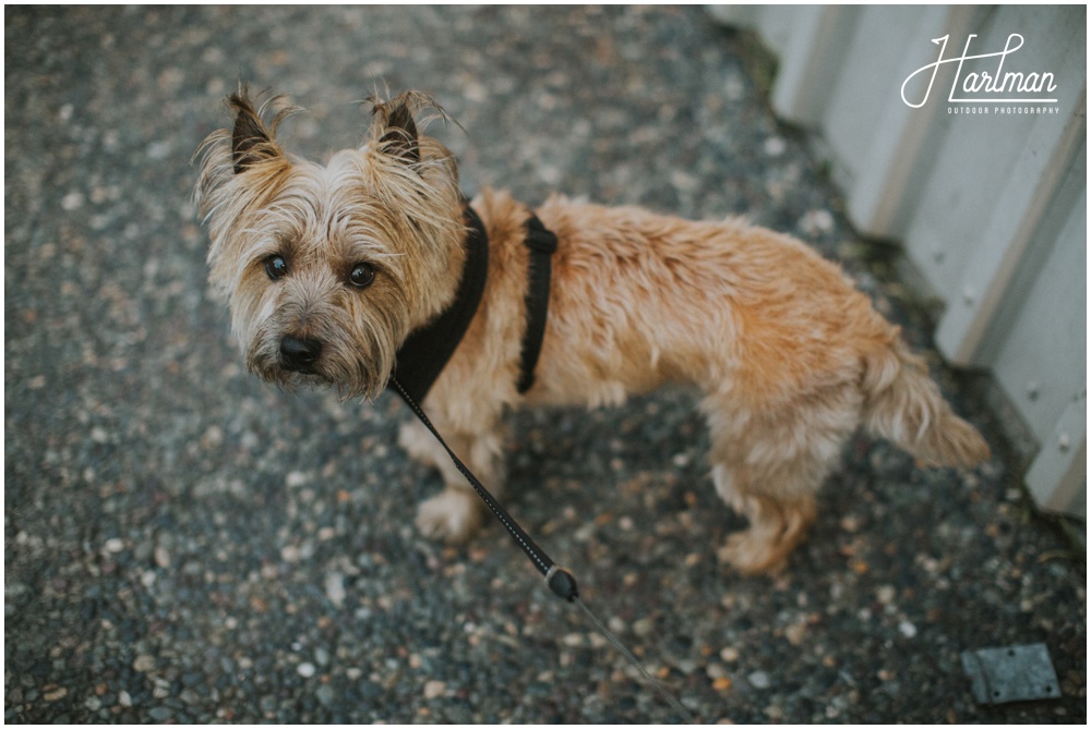 Point Reyes Portrait Session _0009