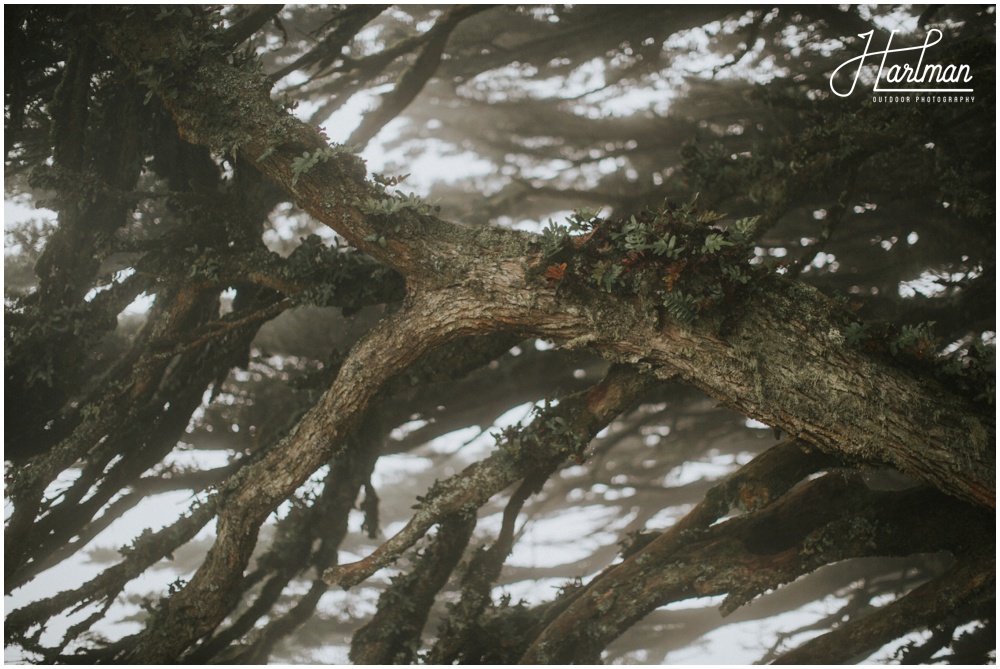 Point Reyes lighthouse _0011