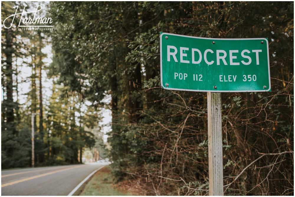 Redwood Forest Wedding Elopement Photographer_0023