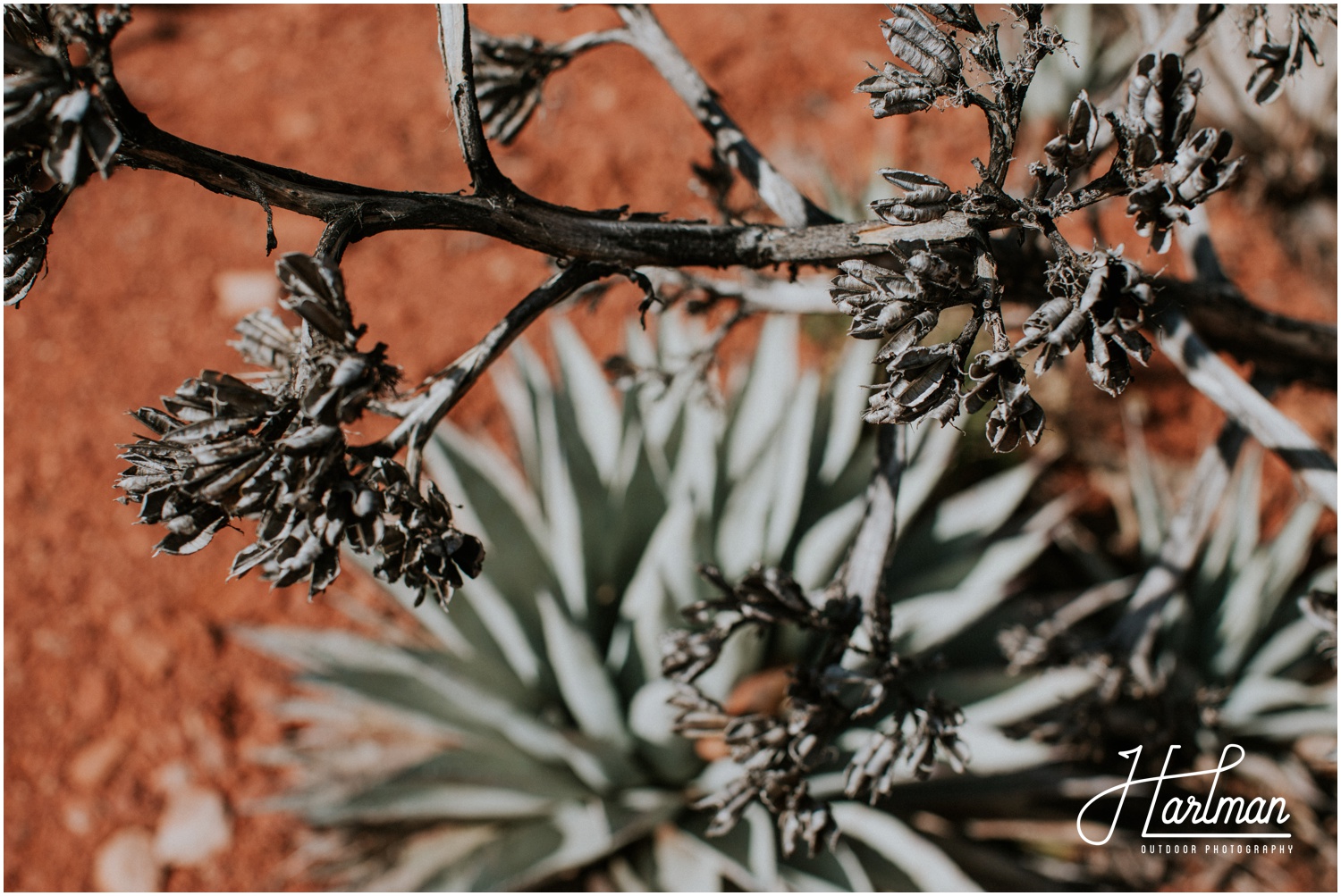 Sedona Arizona Outdoor Wedding _0013