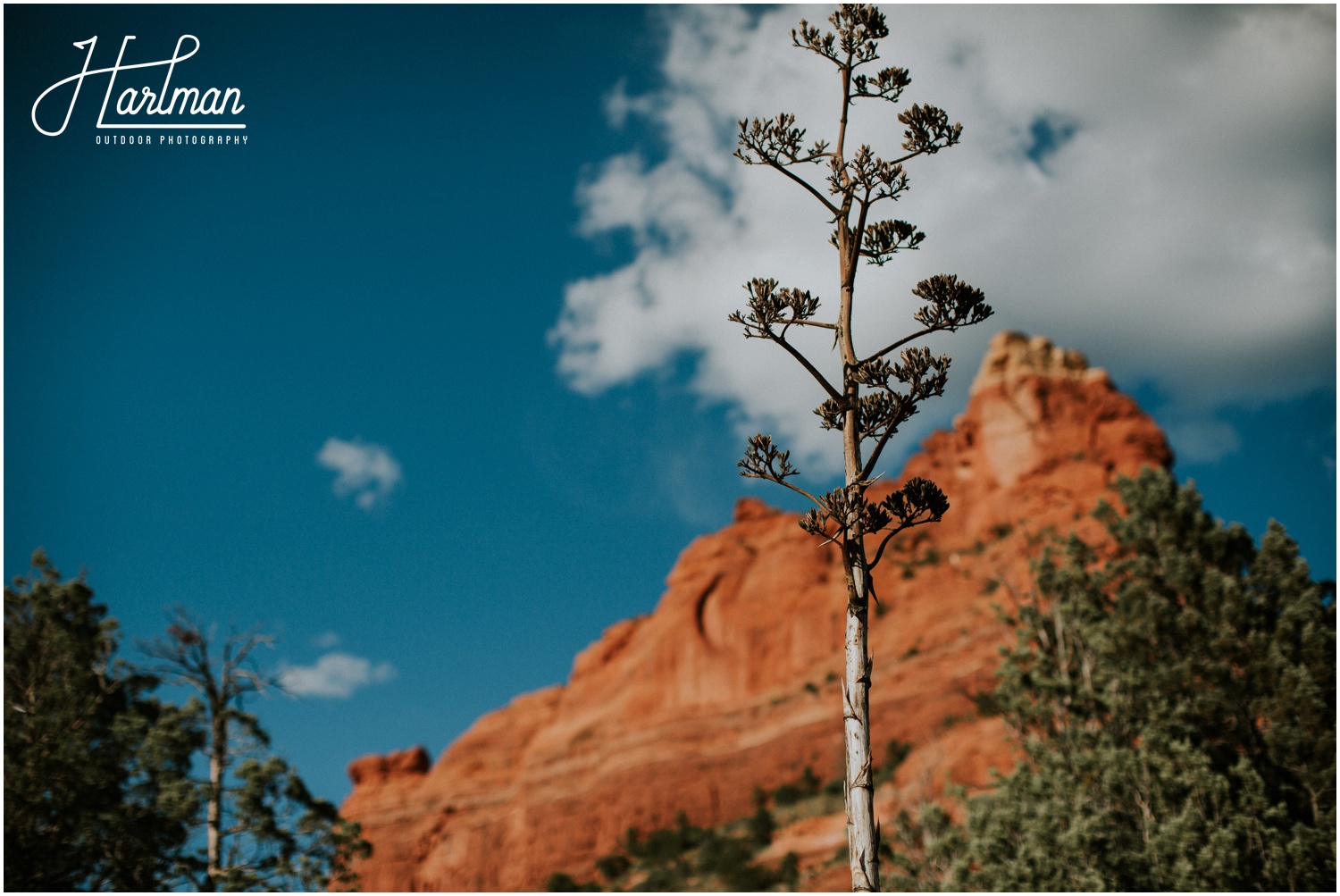 Sedona Arizona Outdoor Desert Wedding _0026