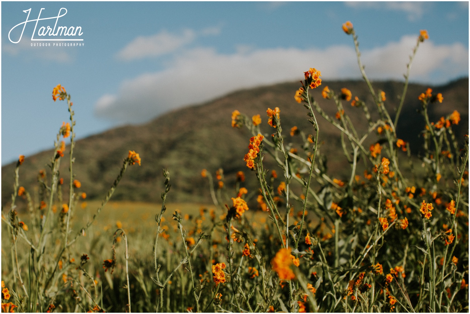 Sedona Desert Wedding Elopement_0066