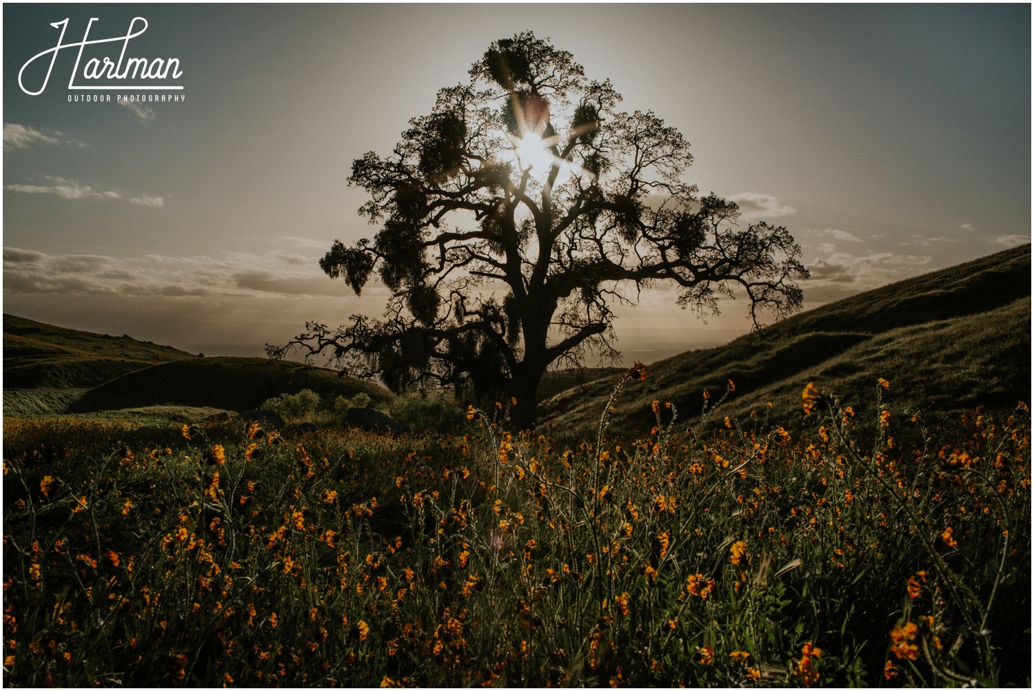 Sedona Desert Wedding Elopement_0069