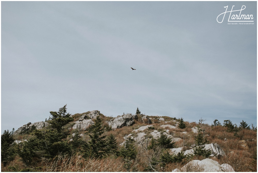 Grayson Highlands Virginia Wedding photographer_0030