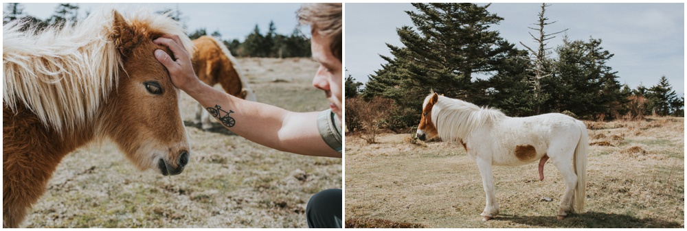 Grayson Highlands Engagement Elopement_0044