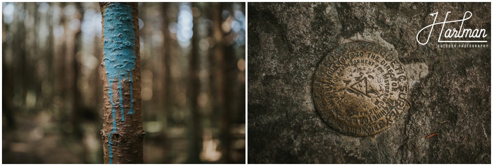 Grayson Highlands State Park Engagement Session _0051