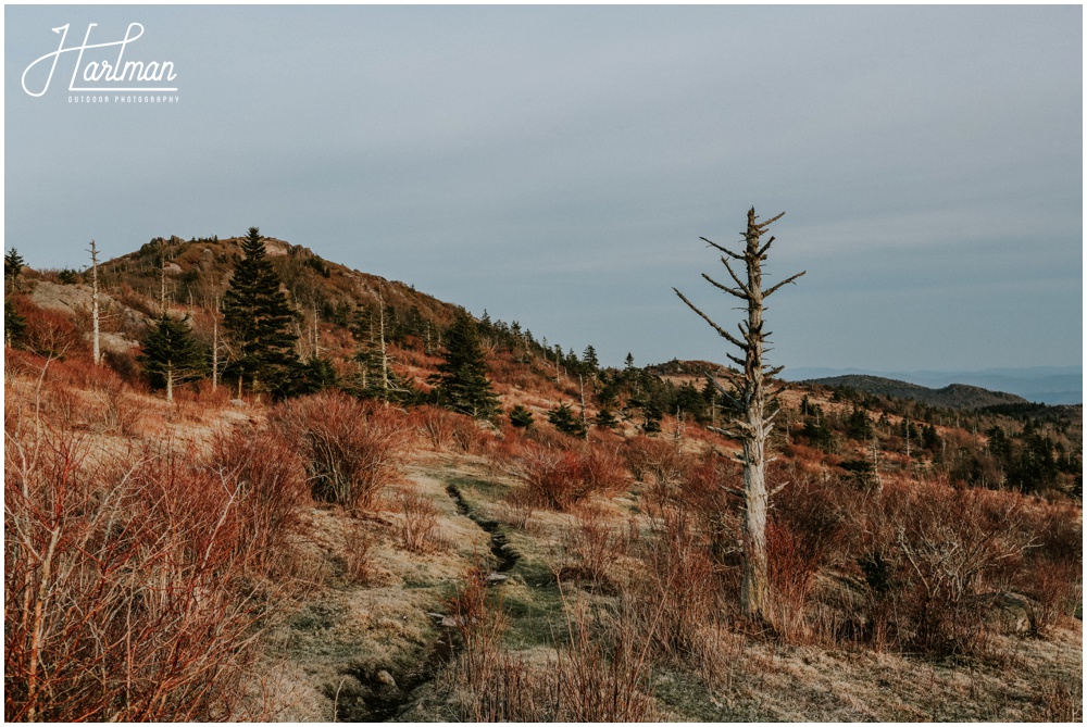 Best Virginia Elopement Location _0073