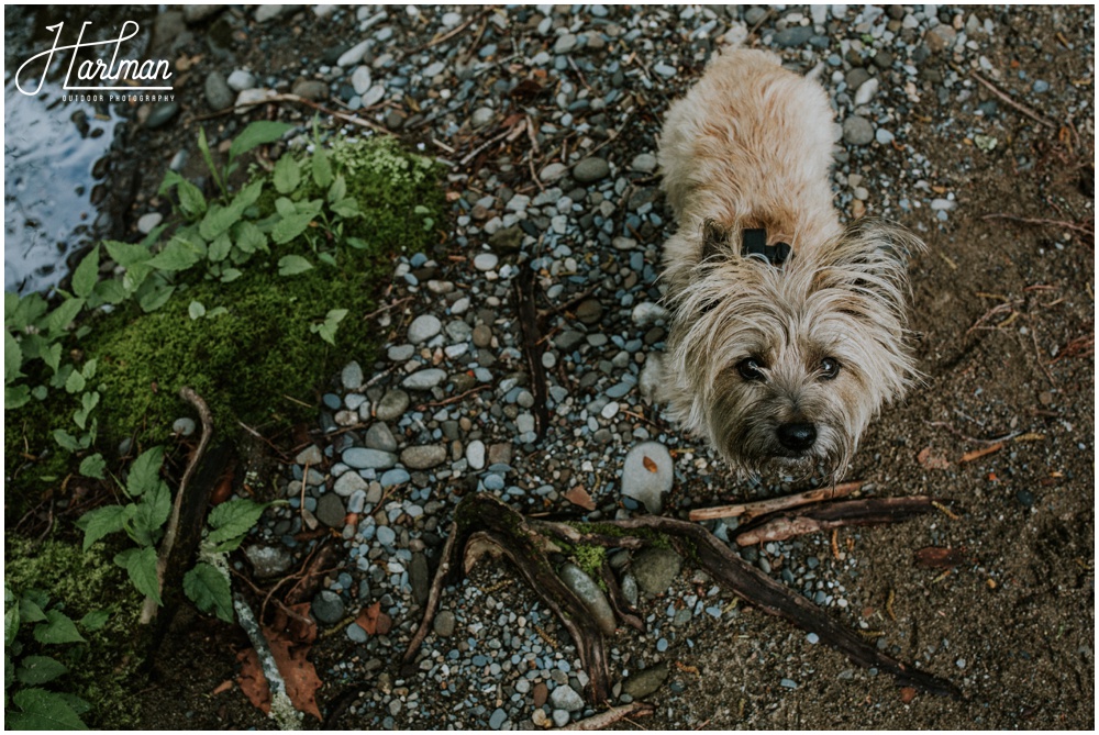 Smoky Mountains National Park Wedding _0003