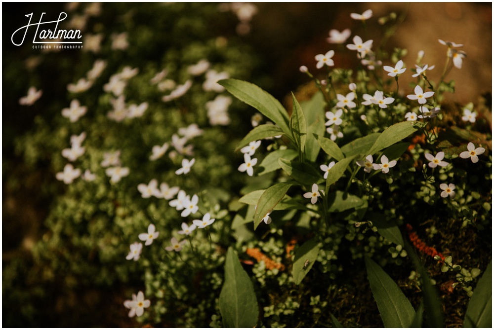 Smoky Mountains Adventure Elopement _0010