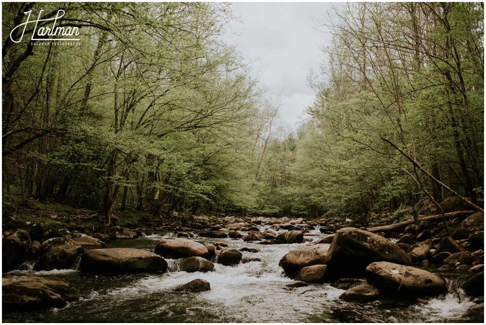 Great Smoky Mountains National park outdoor wedding _0022