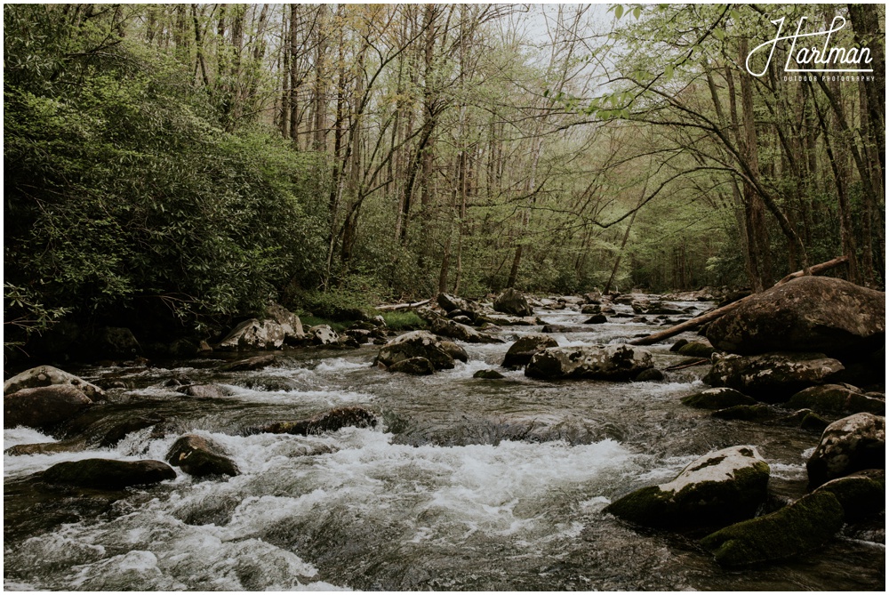 Great Smoky Mountains Outdoor Wedding Ceremony _0026