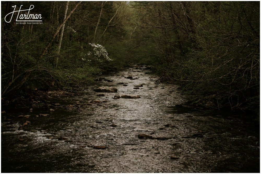 Smoky Mountains outdoor wedding ceremony _0033