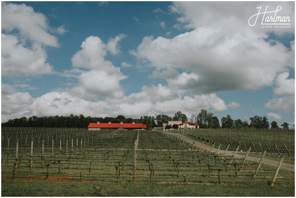 North Carolina Vineyard Wedding _0002