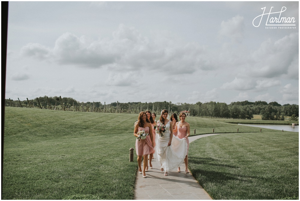 North Carolina Vineyard Wedding _0019