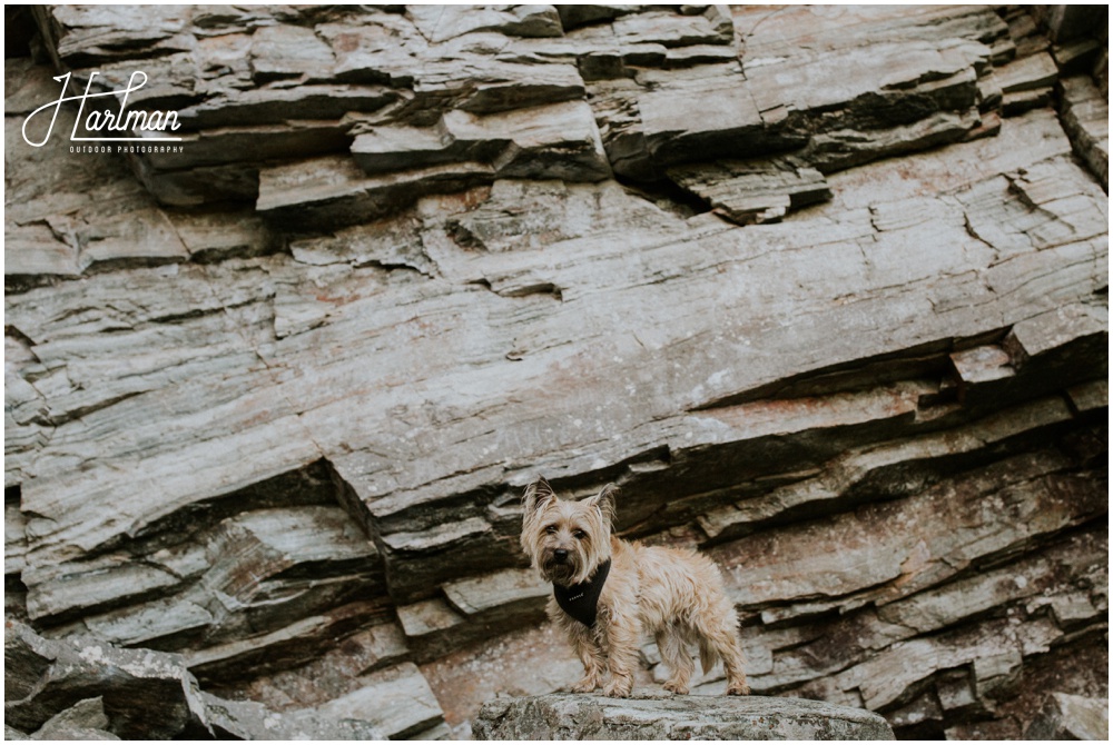 Boone Engagement Session _0036