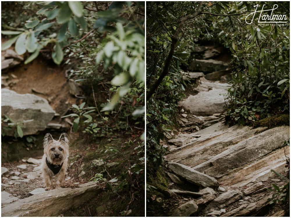 Hawksbill mountain Elopement _0046